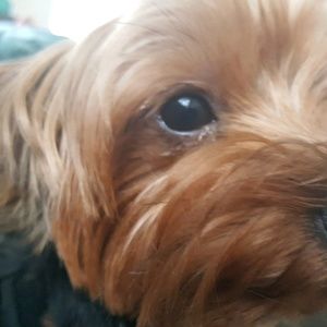 Meet your Posher, Tracy